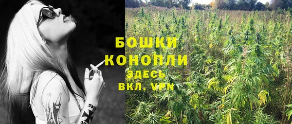 каннабис Алзамай