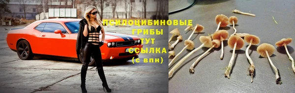 каннабис Алзамай